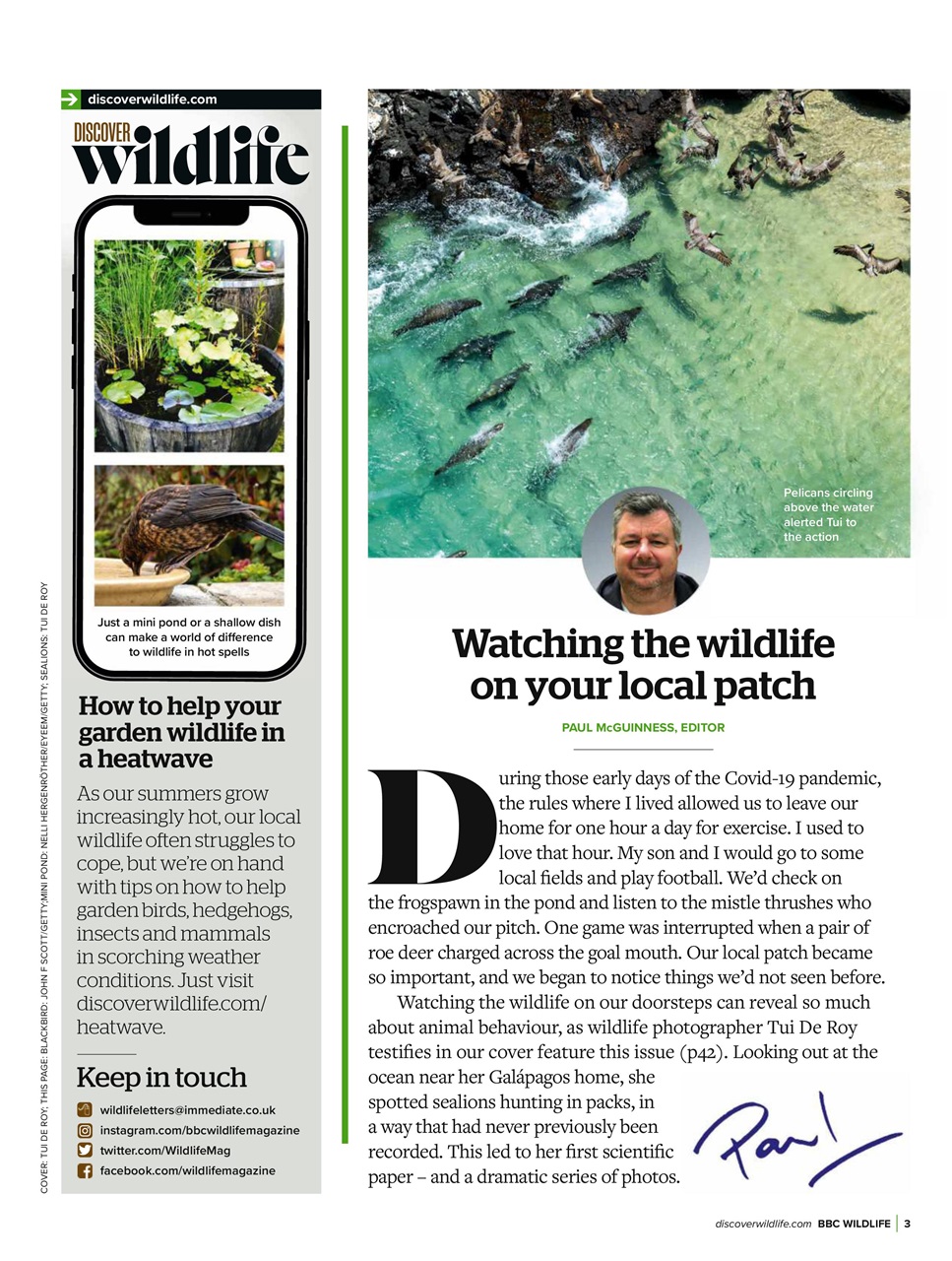 BBC Wildlife Magazine Preview Pages