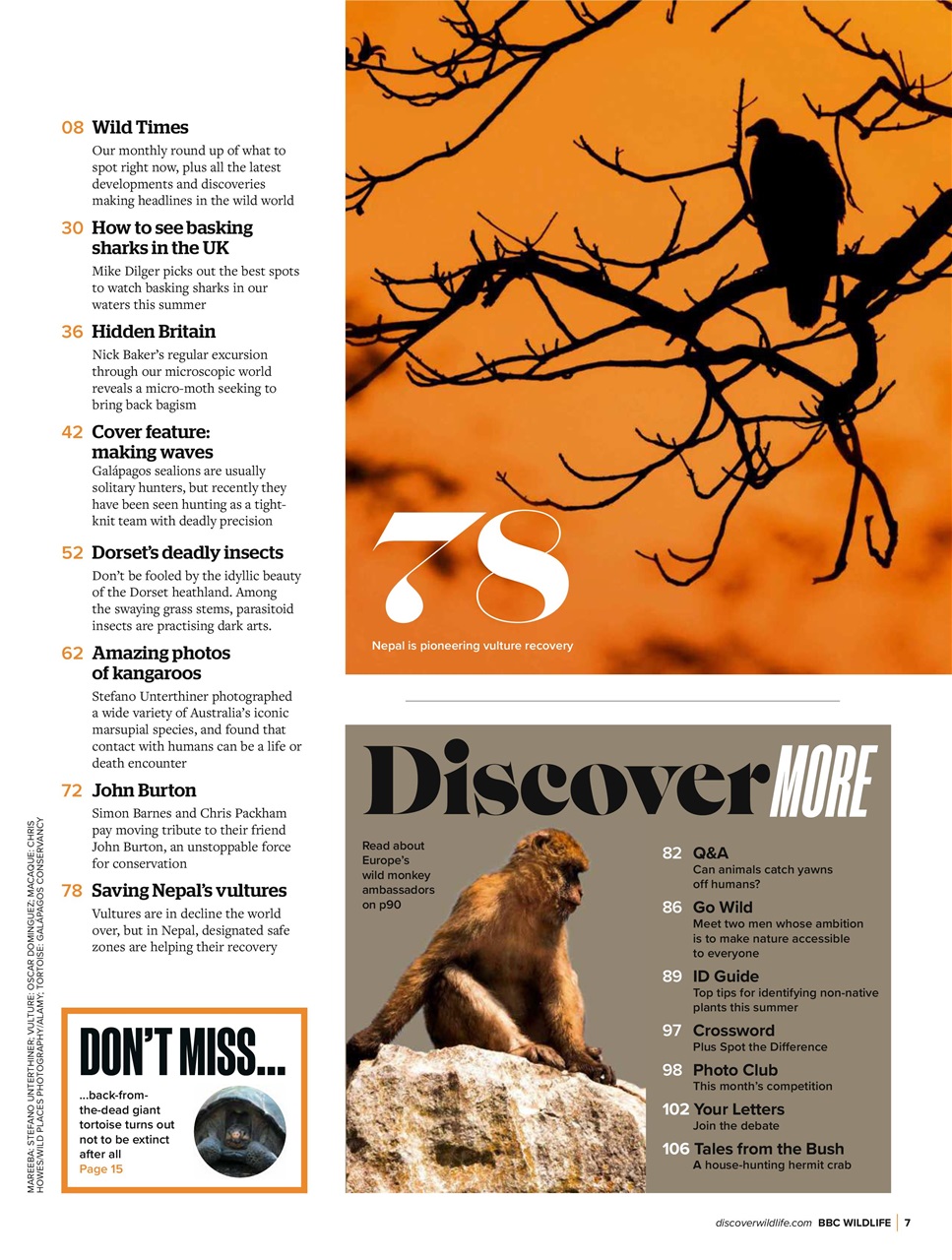 BBC Wildlife Magazine Preview Pages