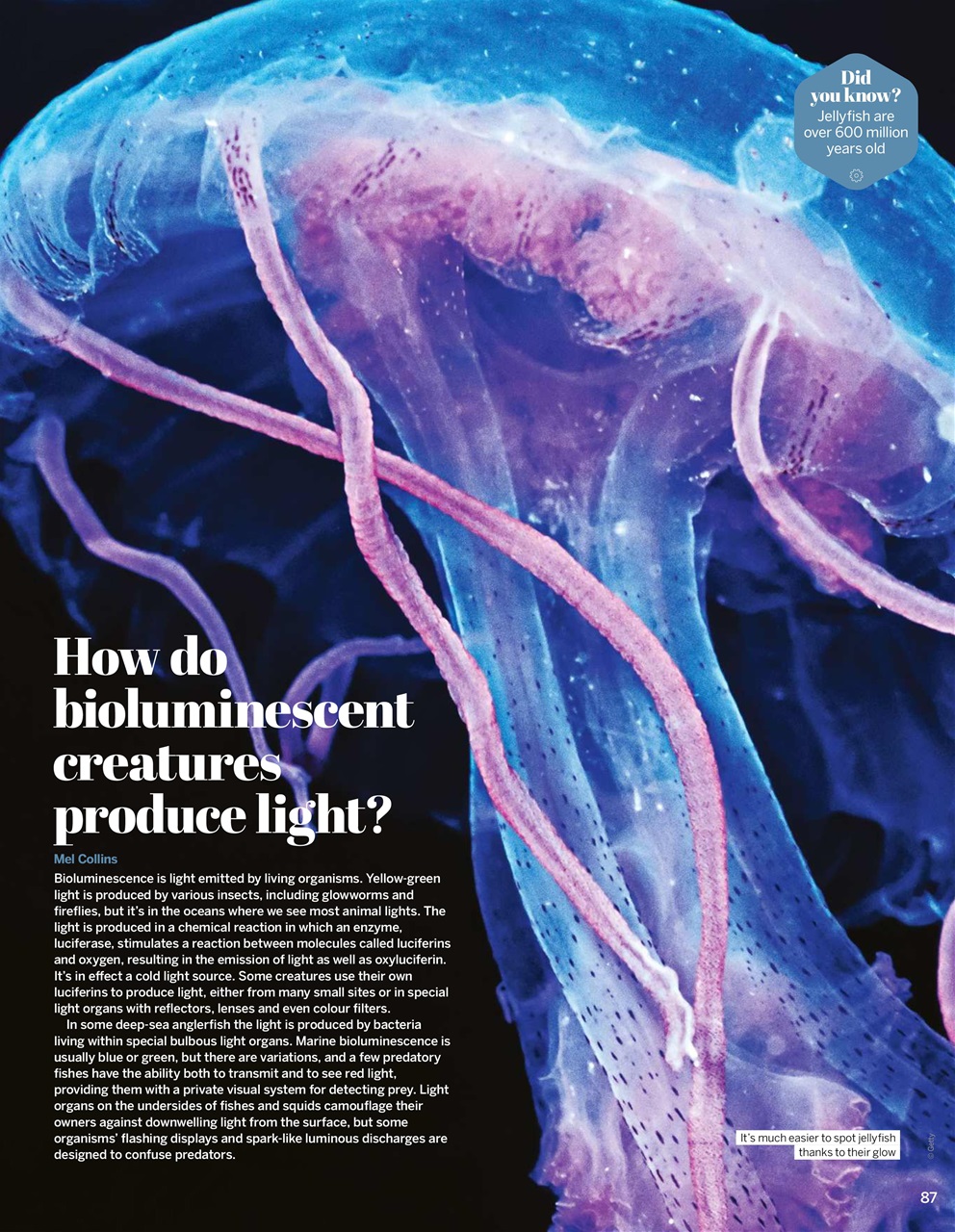 How It Works Preview Pages