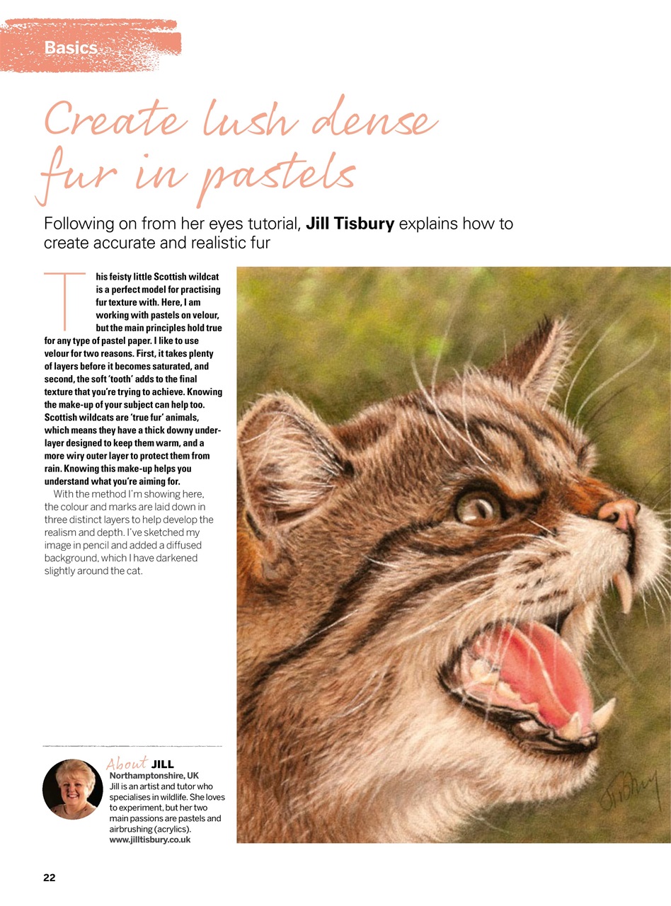 Creative Bookazine Preview Pages