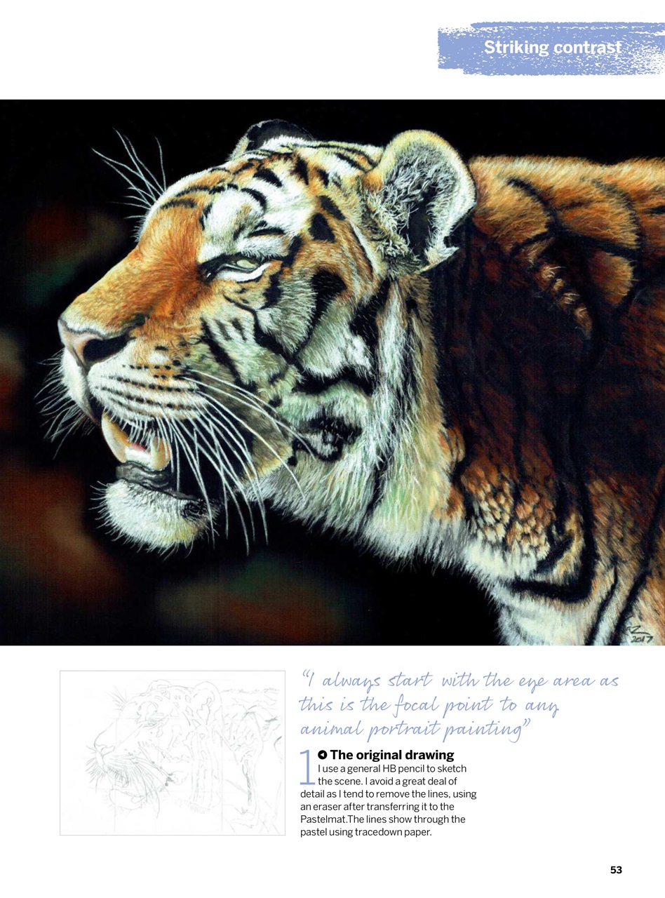 Creative Bookazine Preview Pages
