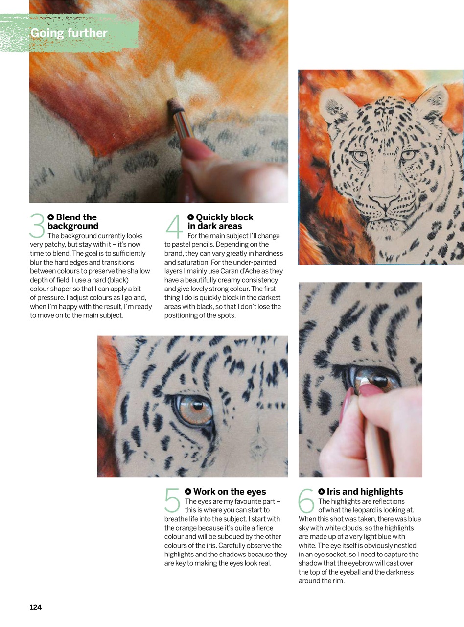 Creative Bookazine Preview Pages