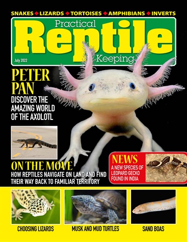 Practical Reptile Keeping issue July 2022