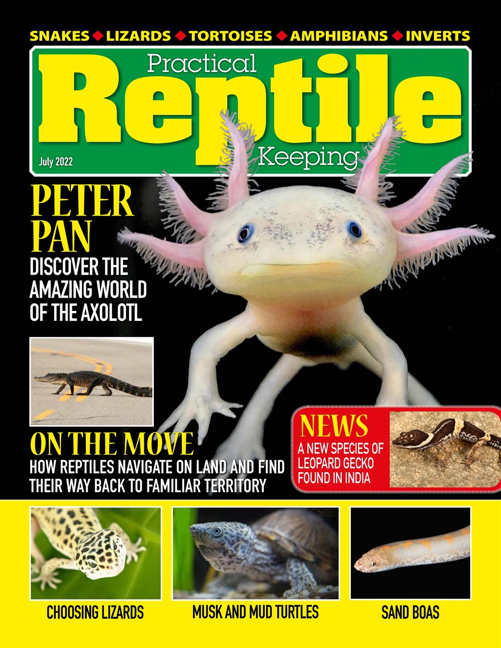 Practical Reptile Keeping Preview Pages