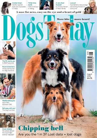 Dogs Today Magazine issue August 2022