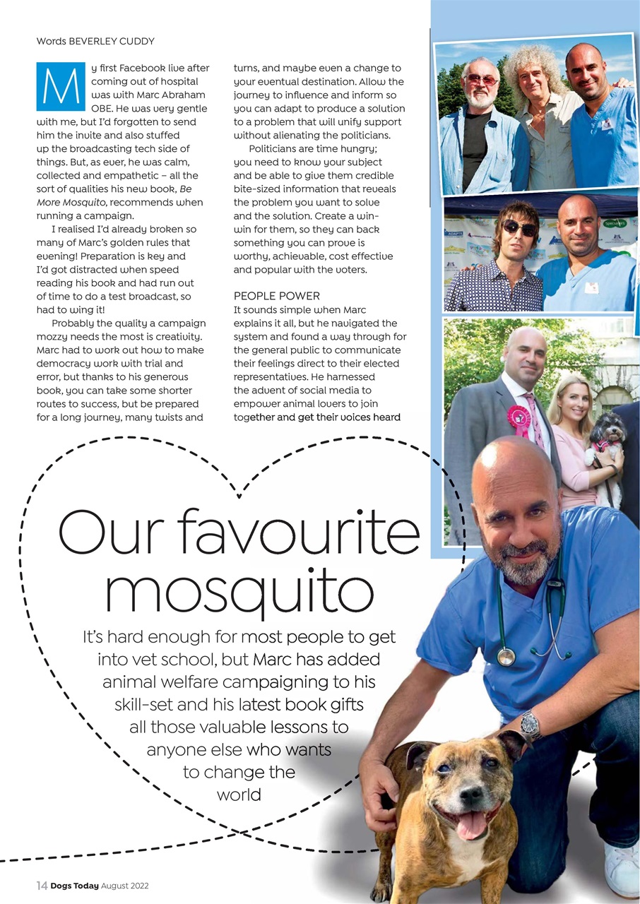 Dogs Today Magazine Preview Pages