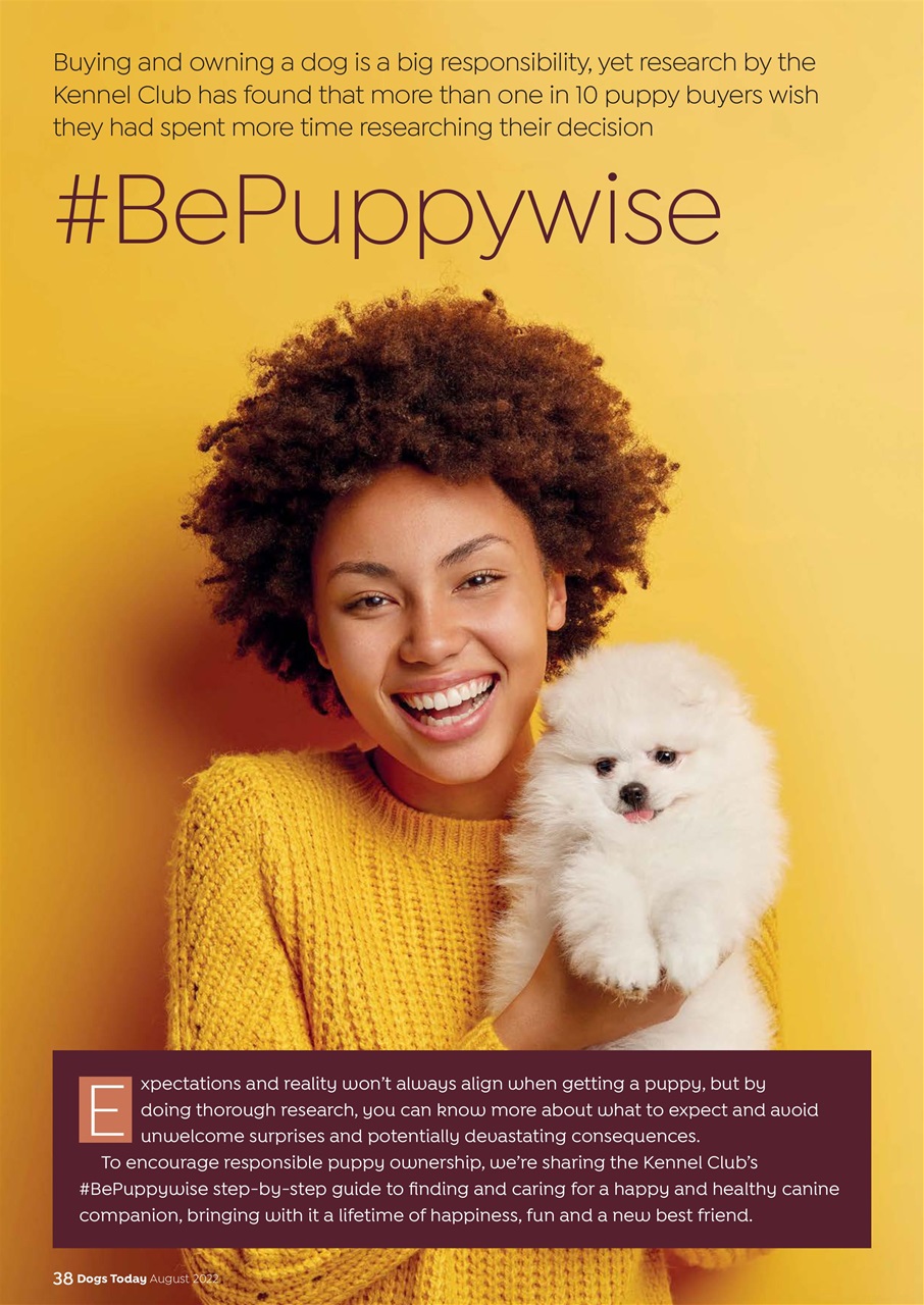 Dogs Today Magazine Preview Pages