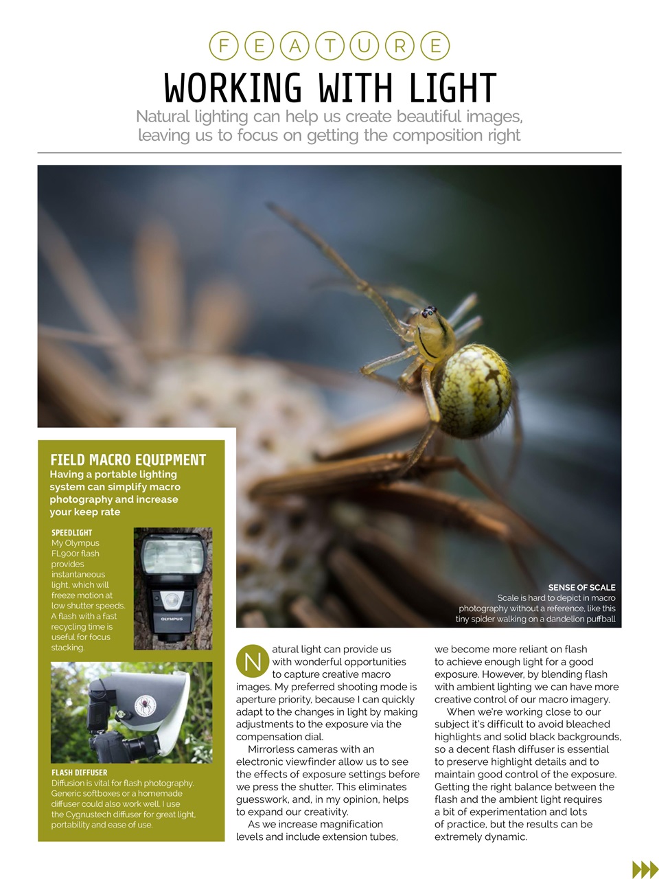 Photography Week Preview Pages