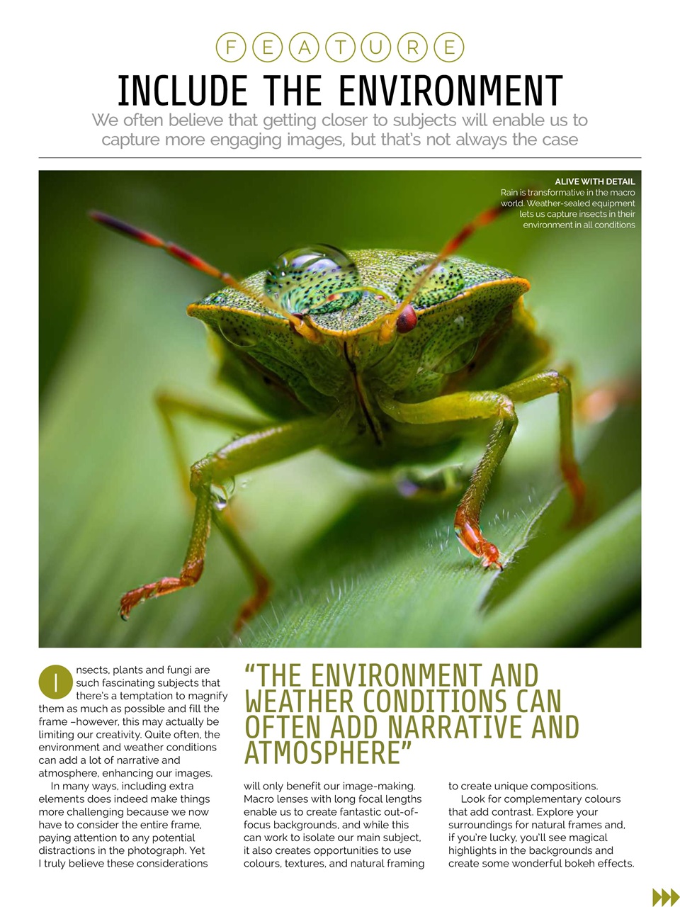 Photography Week Preview Pages