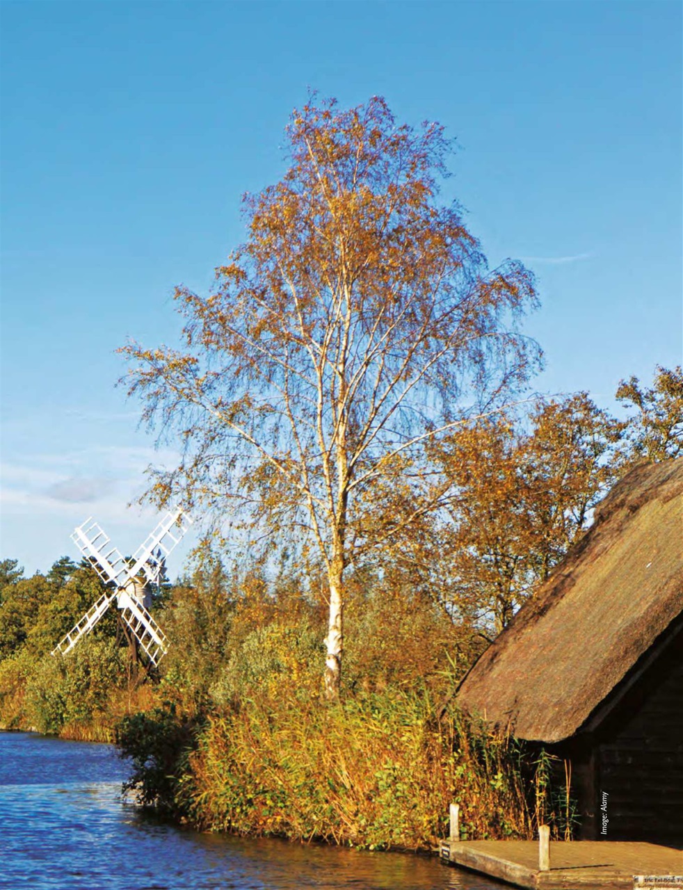 This England Preview Pages