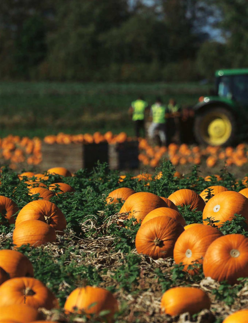 This England Preview Pages