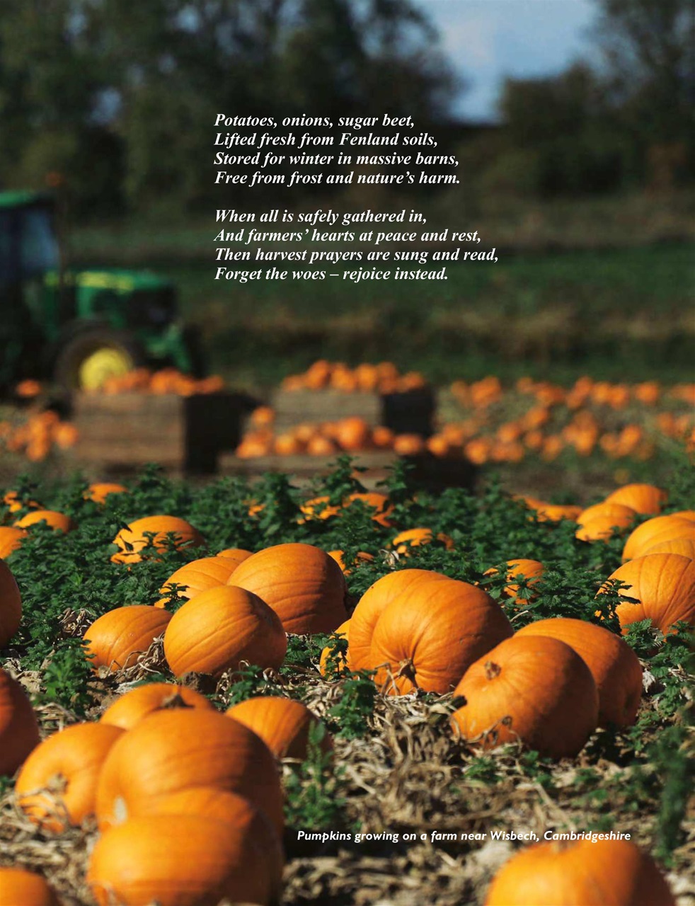 This England Preview Pages