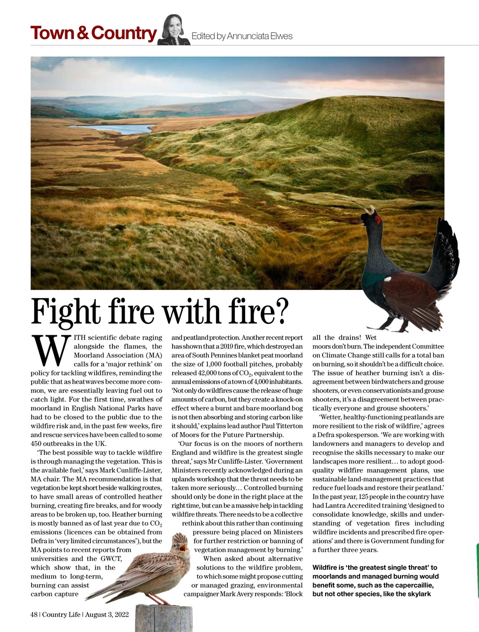 Country Life Preview Pages