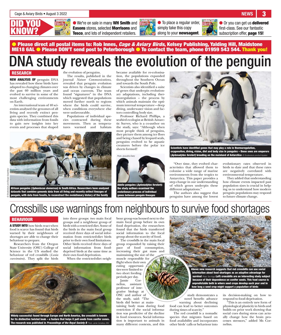 Cage & Aviary Birds Preview Pages