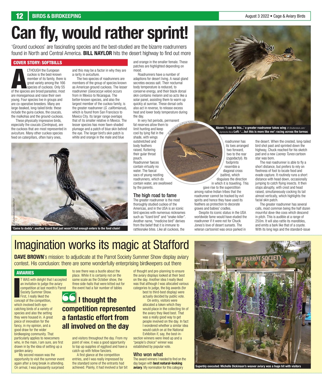 Cage & Aviary Birds Preview Pages