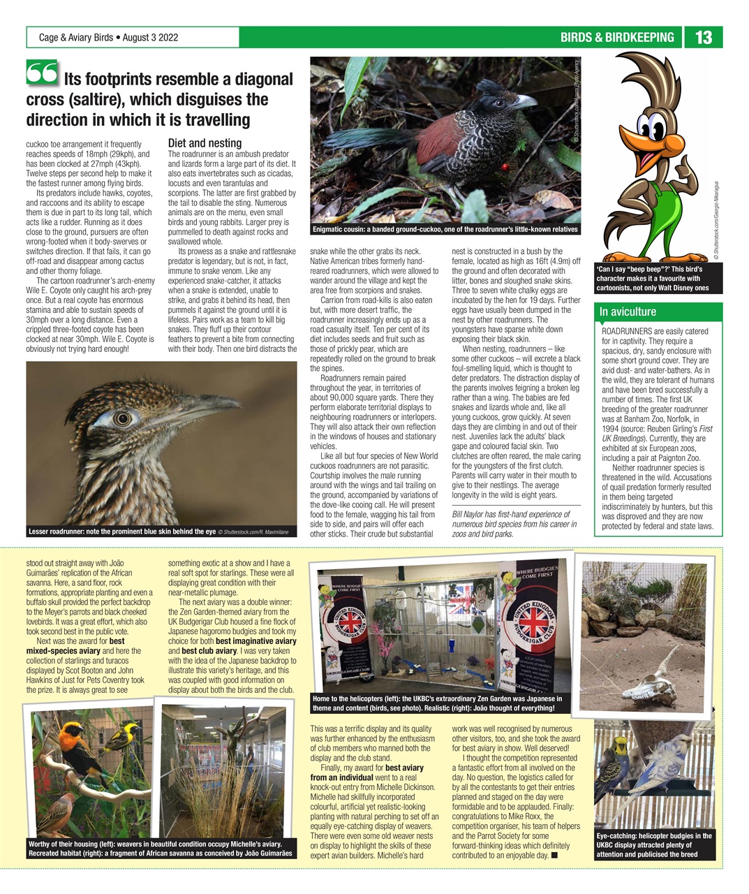 Cage & Aviary Birds Preview Pages