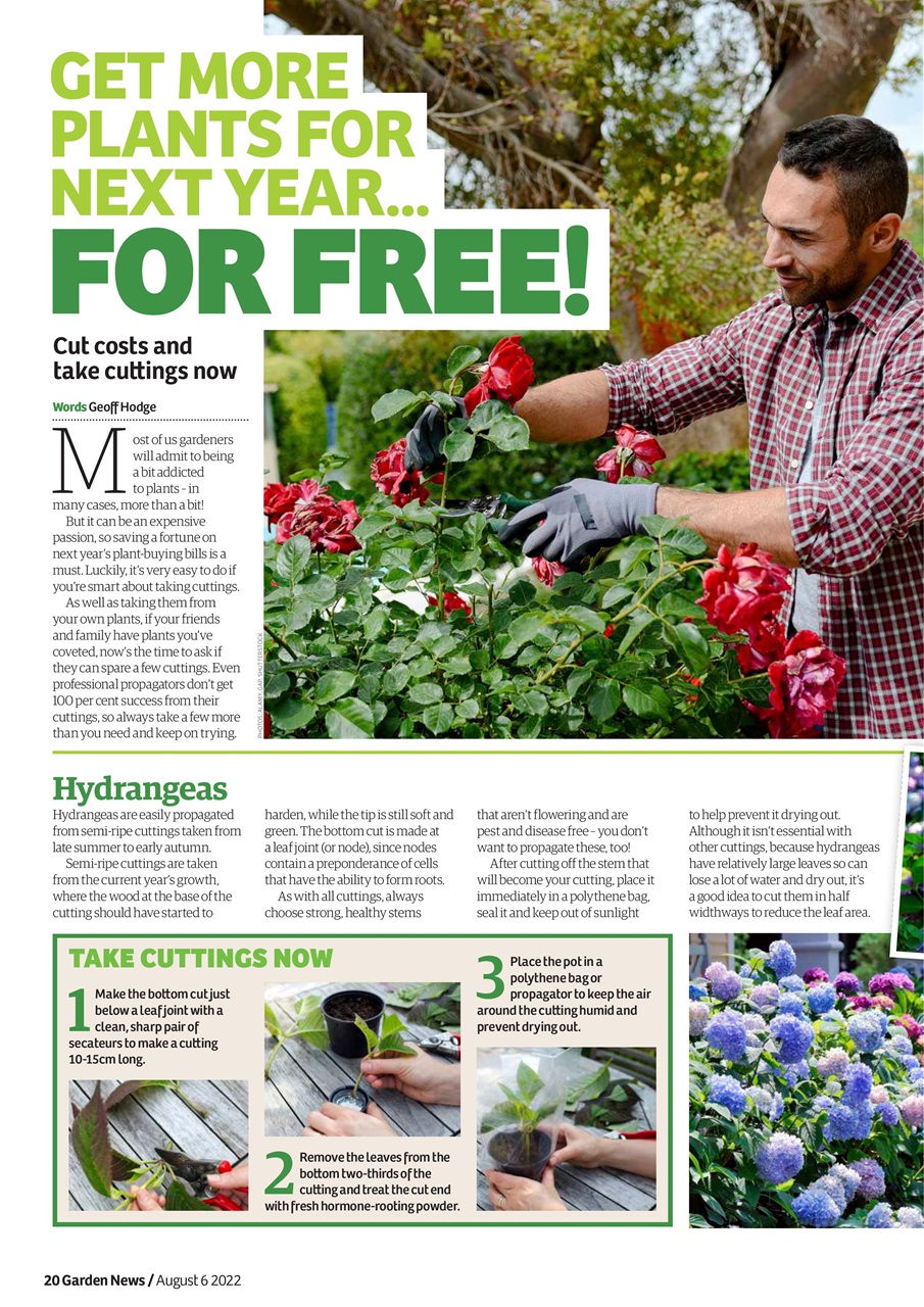 Garden News Preview Pages