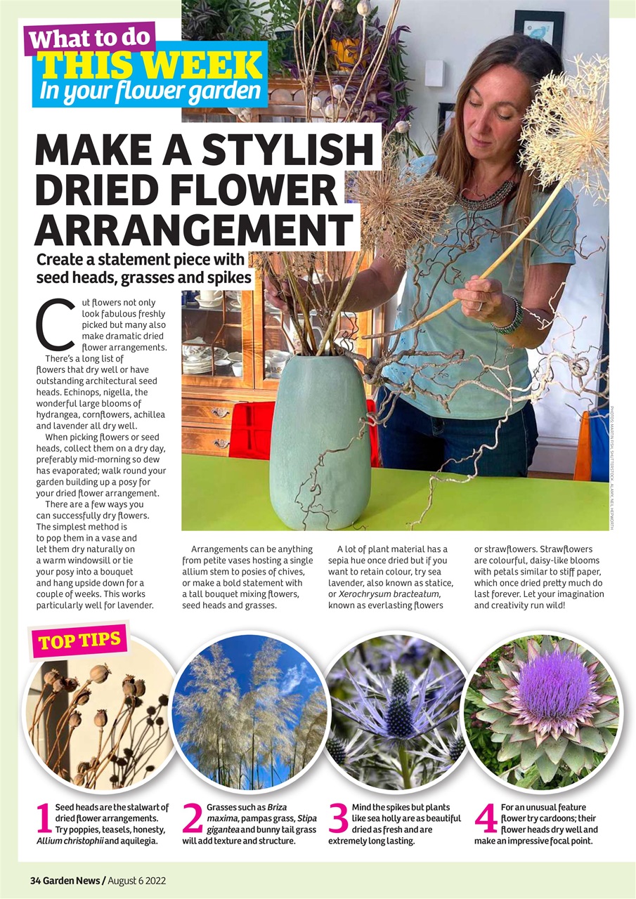 Garden News Preview Pages