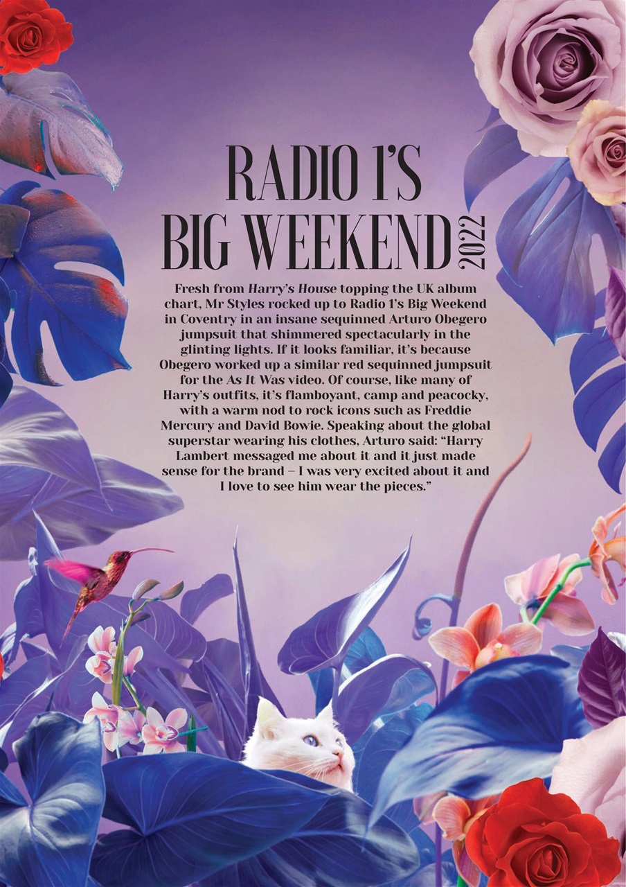 Kings & Queens of Pop Culture Preview Pages