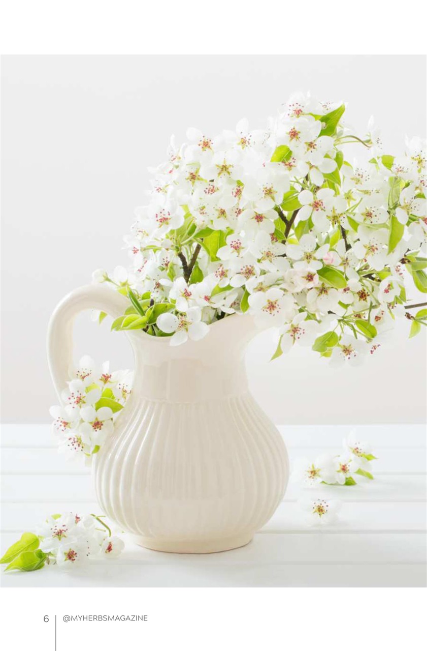 My Herbs Magazine Preview Pages