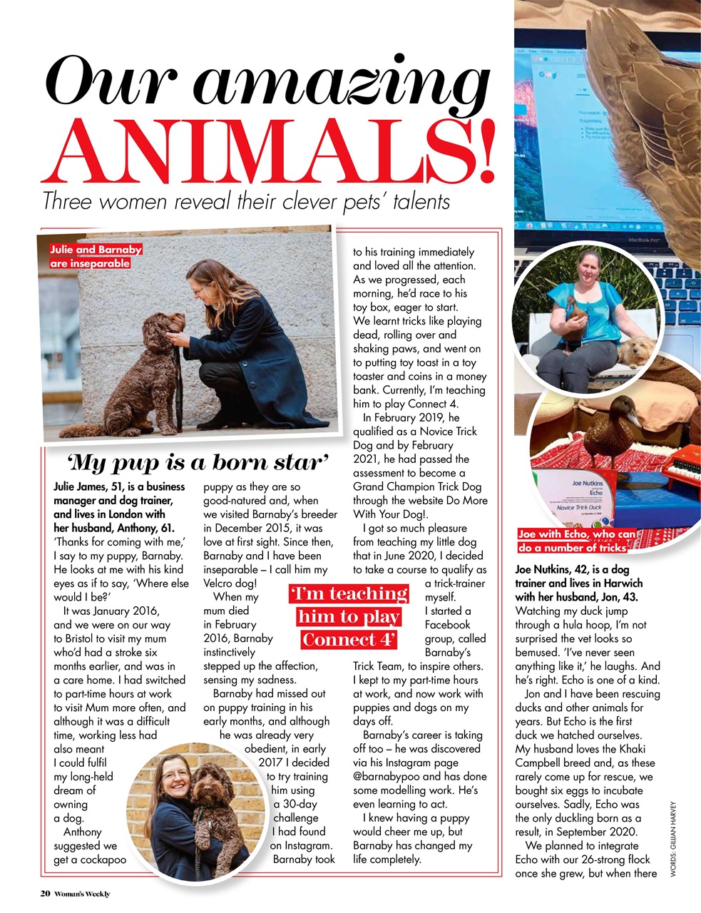 Woman's Weekly Preview Pages