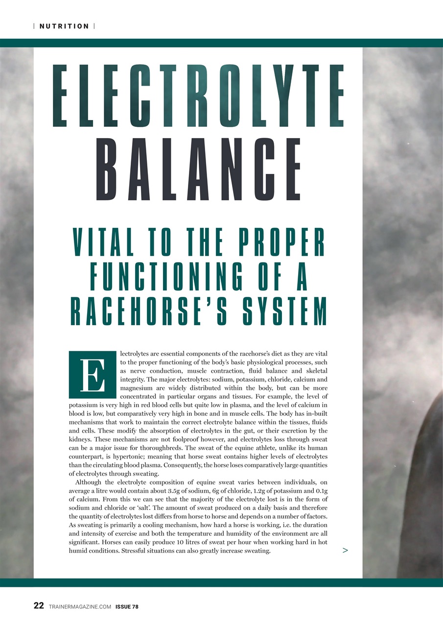 European Trainer Magazine - horse racing Preview Pages