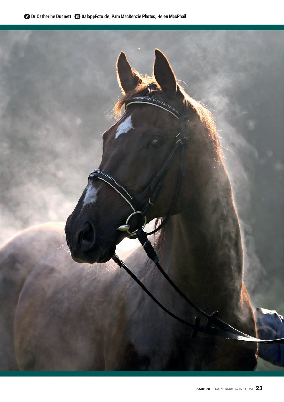 European Trainer Magazine - horse racing Preview Pages