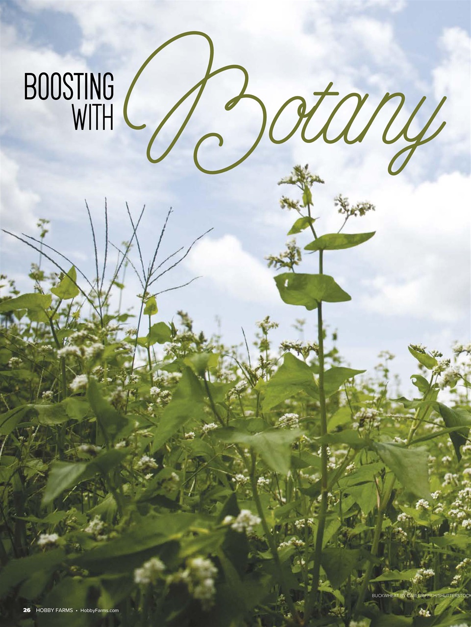 Hobby Farms Magazine Preview Pages