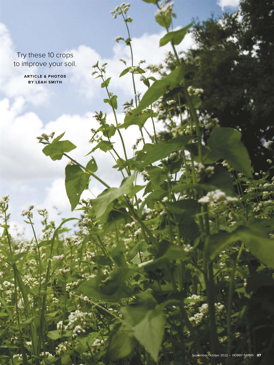 Hobby Farms Magazine Preview Pages