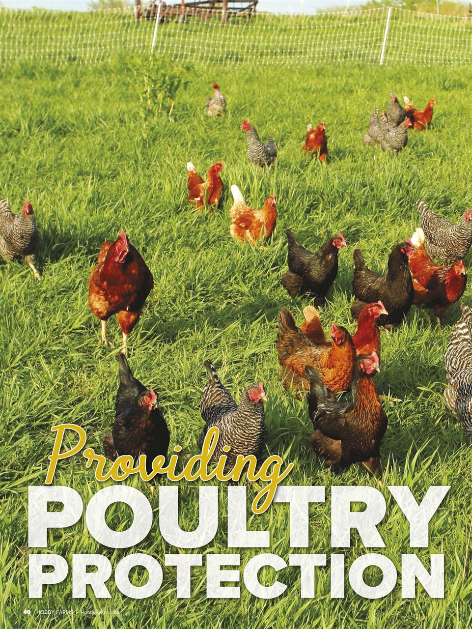 Hobby Farms Magazine Preview Pages