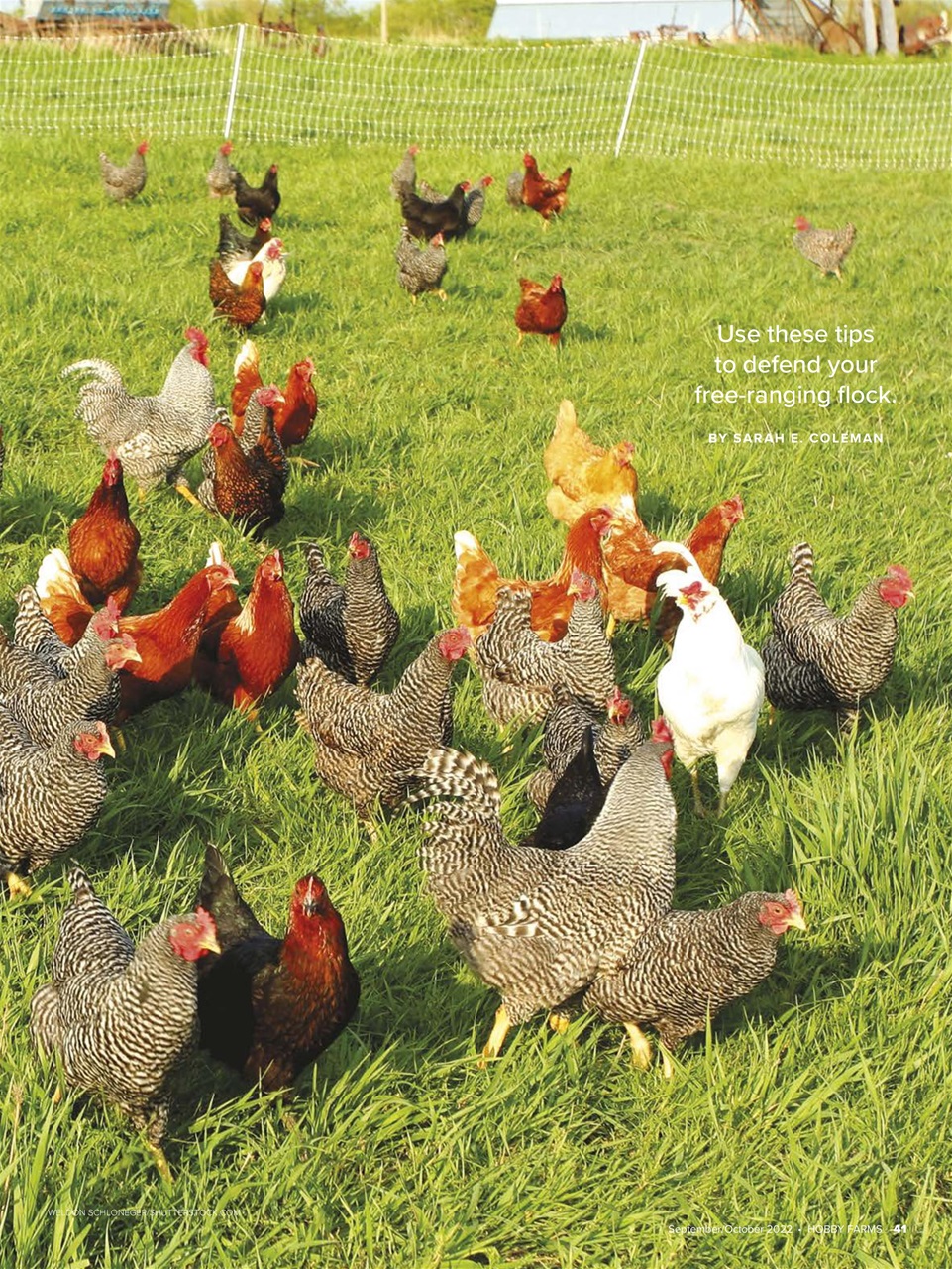 Hobby Farms Magazine Preview Pages