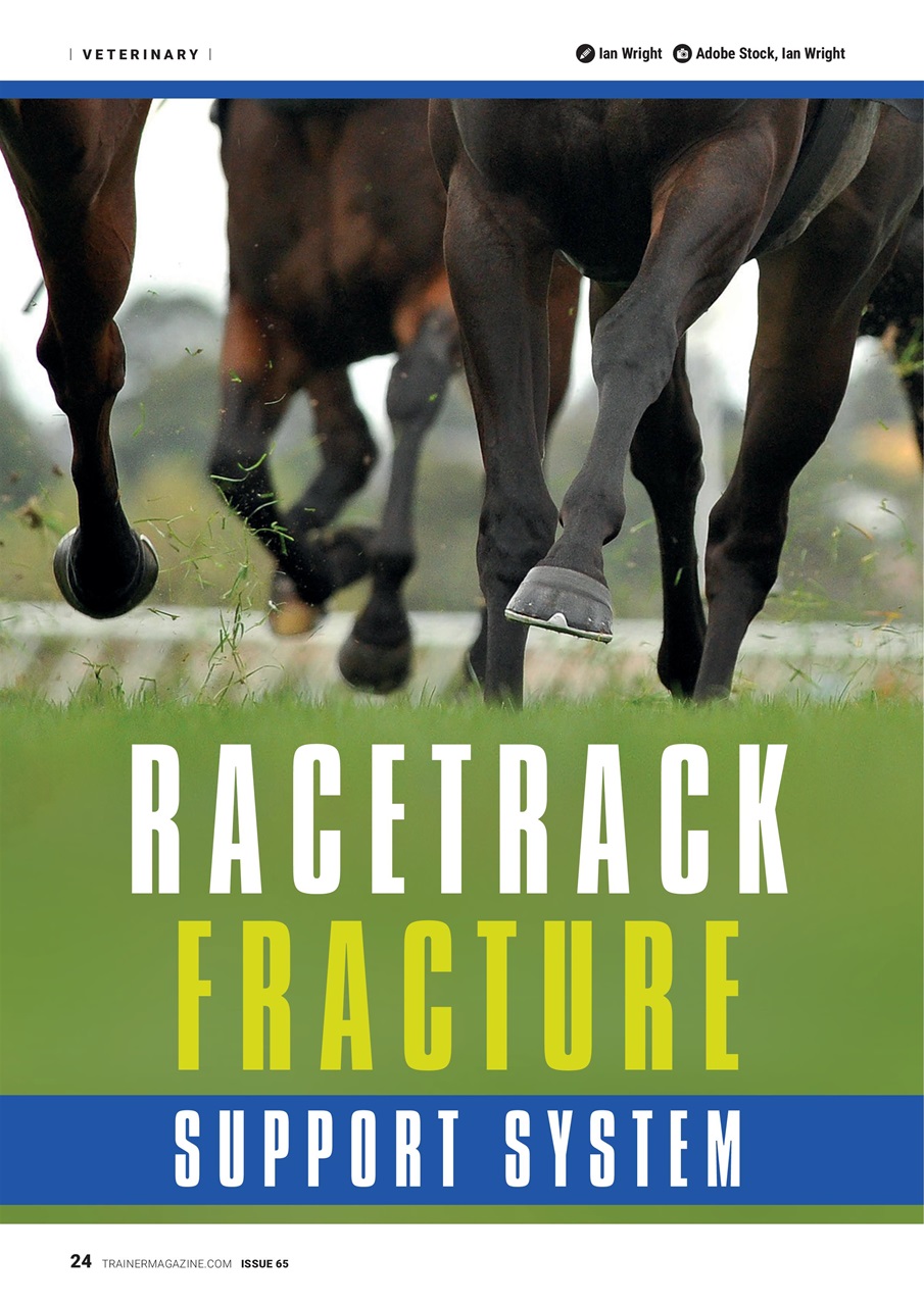 North American Trainer Magazine - horse racing Preview Pages