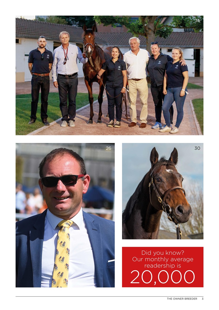 The Owner Breeder Preview Pages