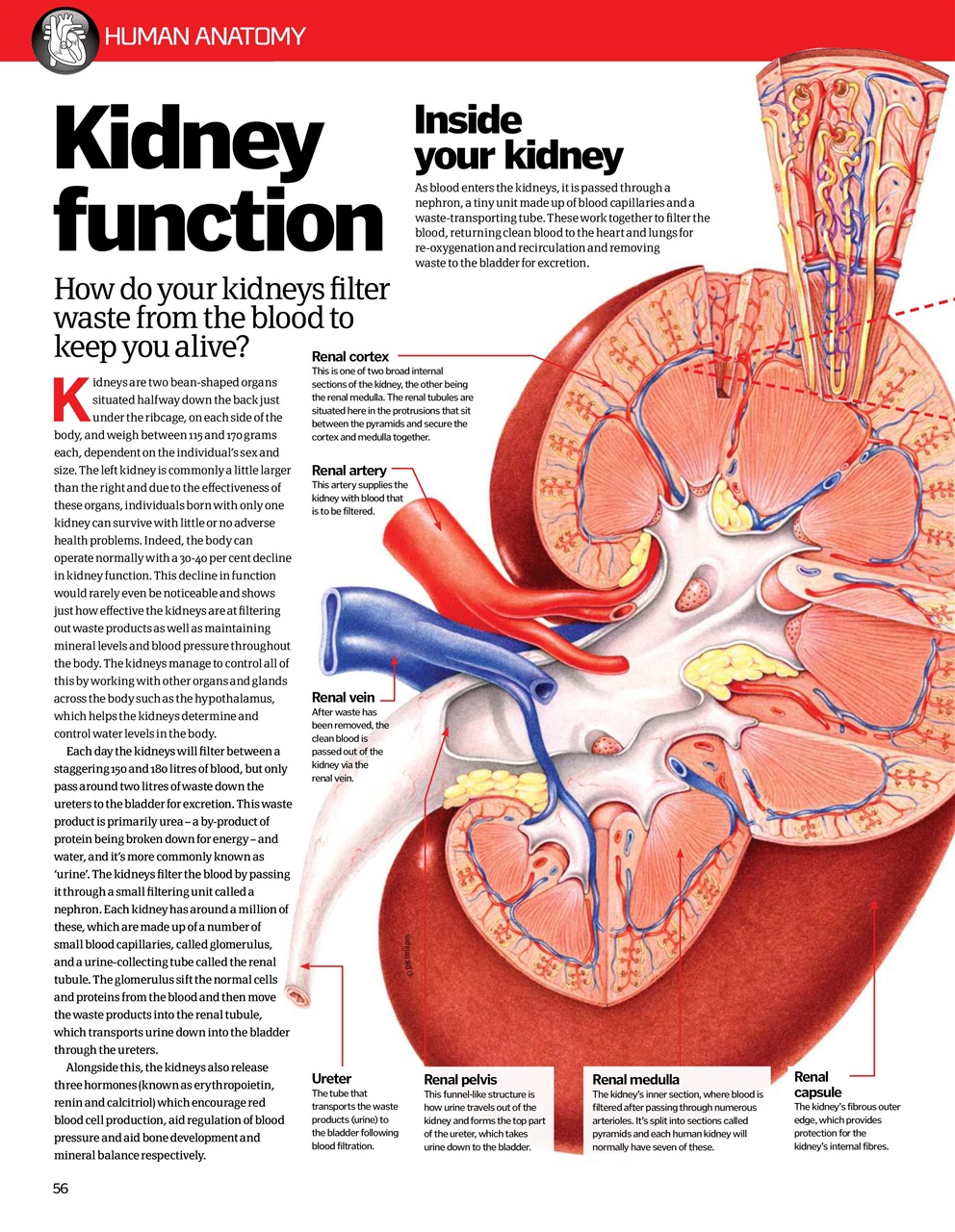 How It Works Bookazine Preview Pages