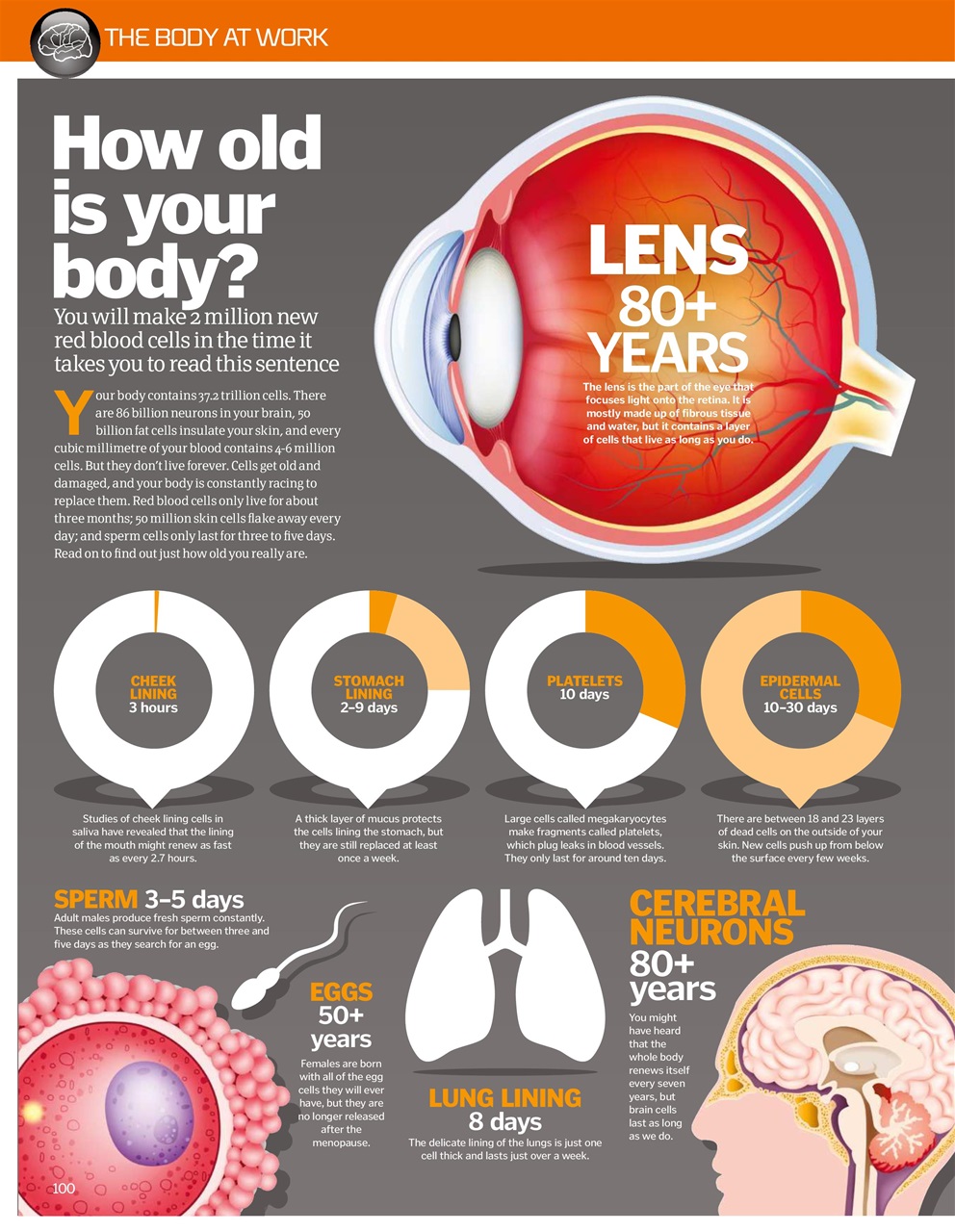 How It Works Bookazine Preview Pages