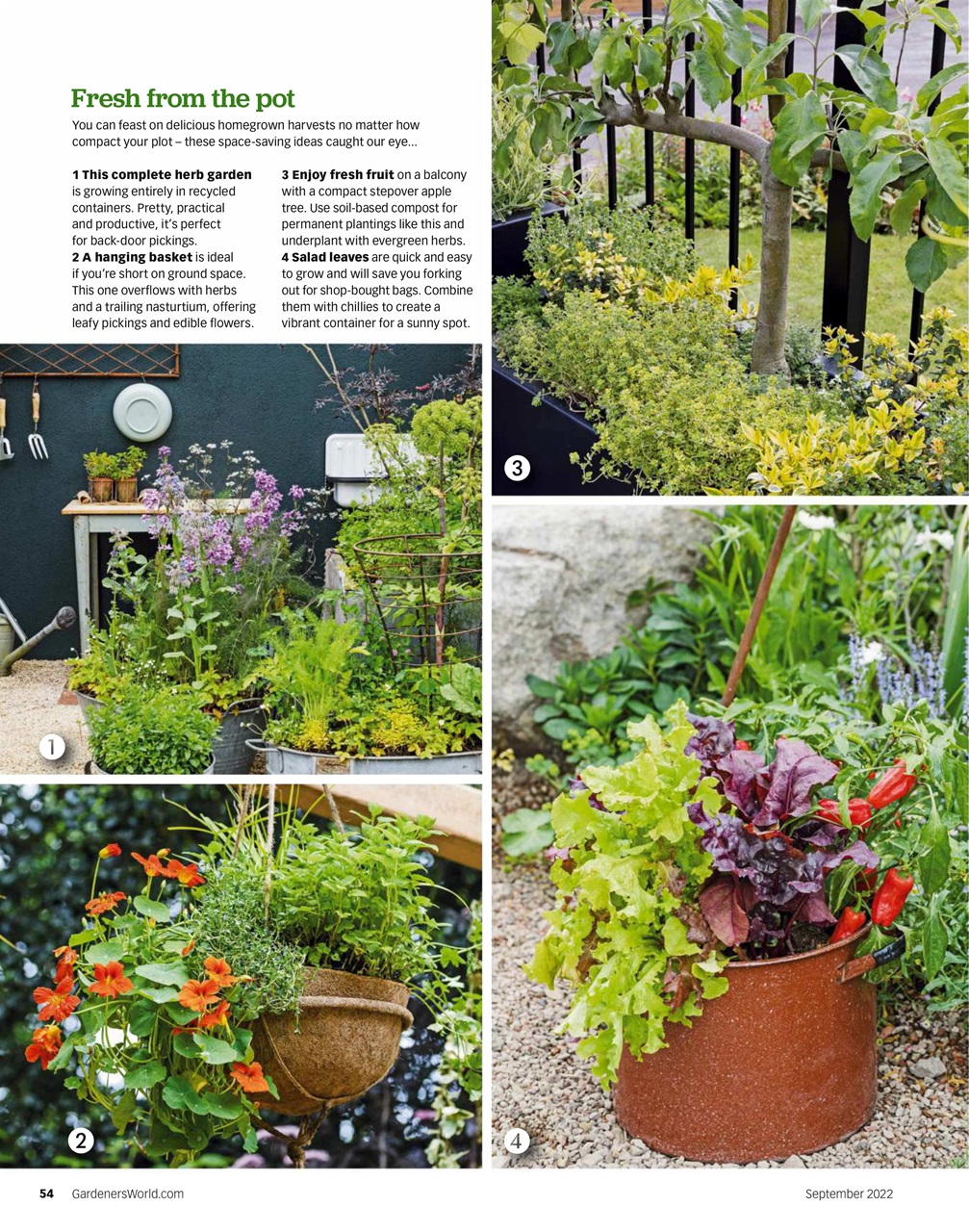BBC Gardeners’ World Magazine Preview Pages