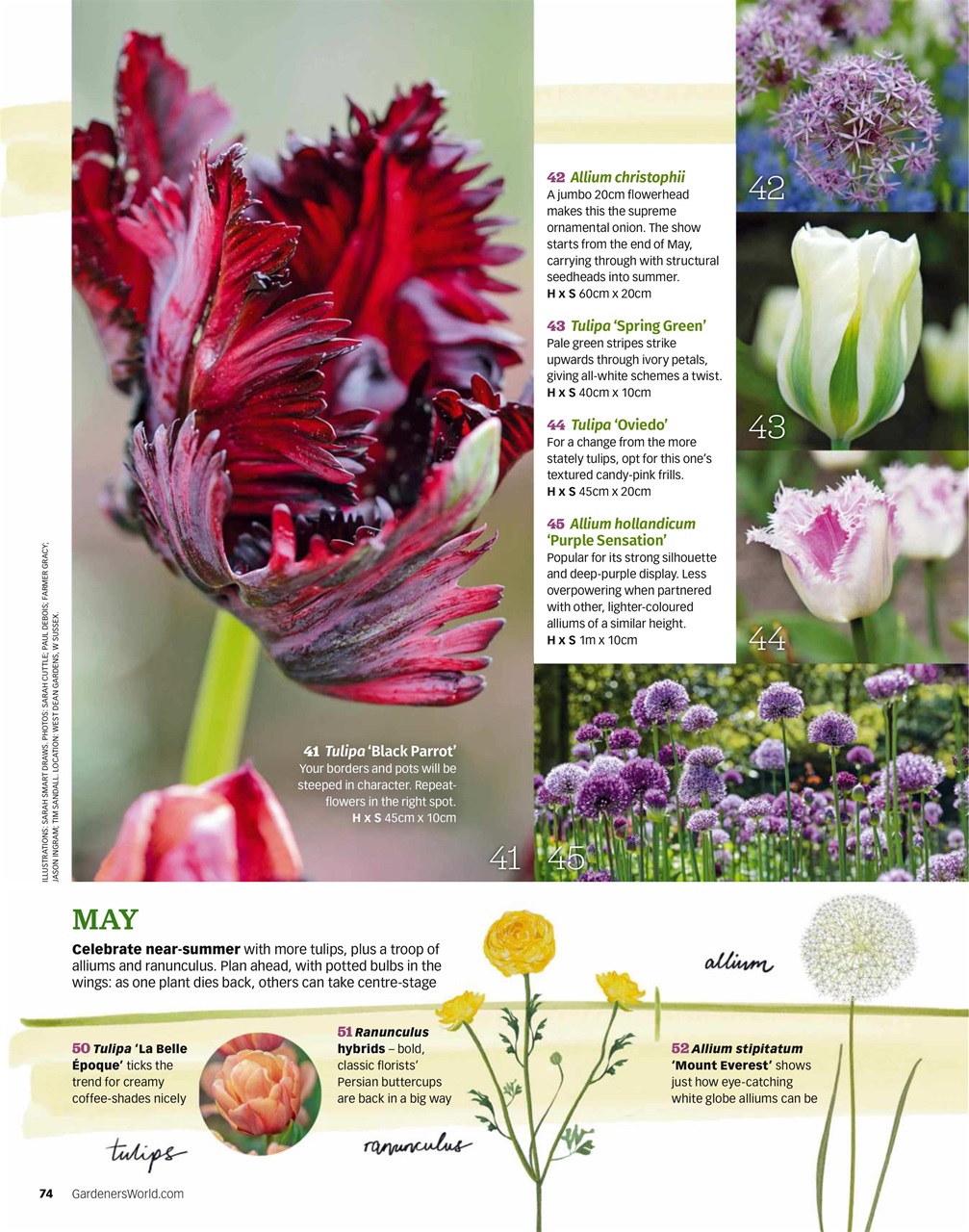 BBC Gardeners’ World Magazine Preview Pages