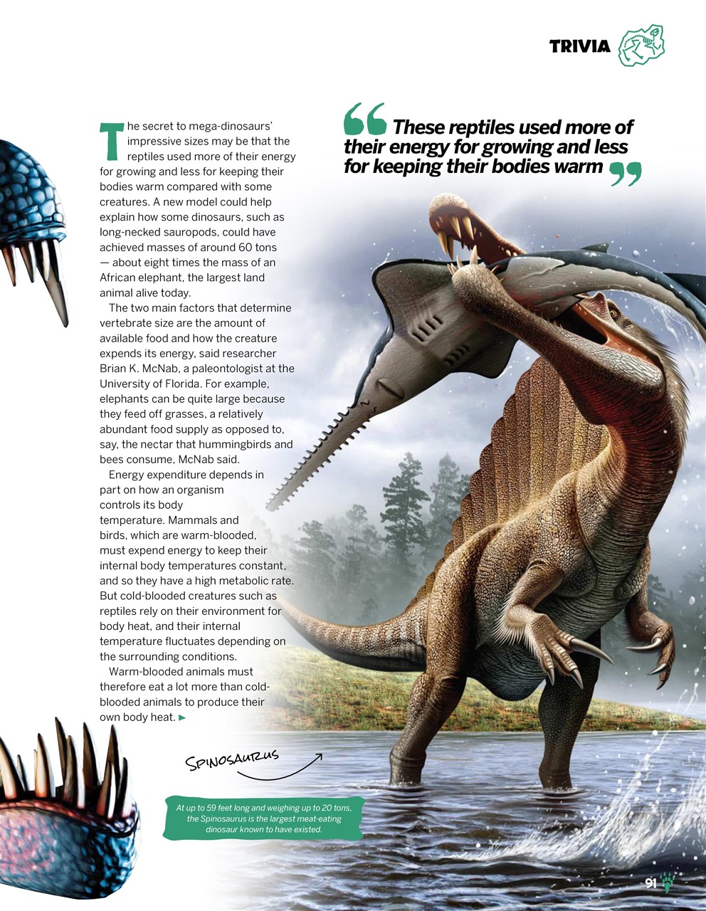 How It Works Bookazine Preview Pages