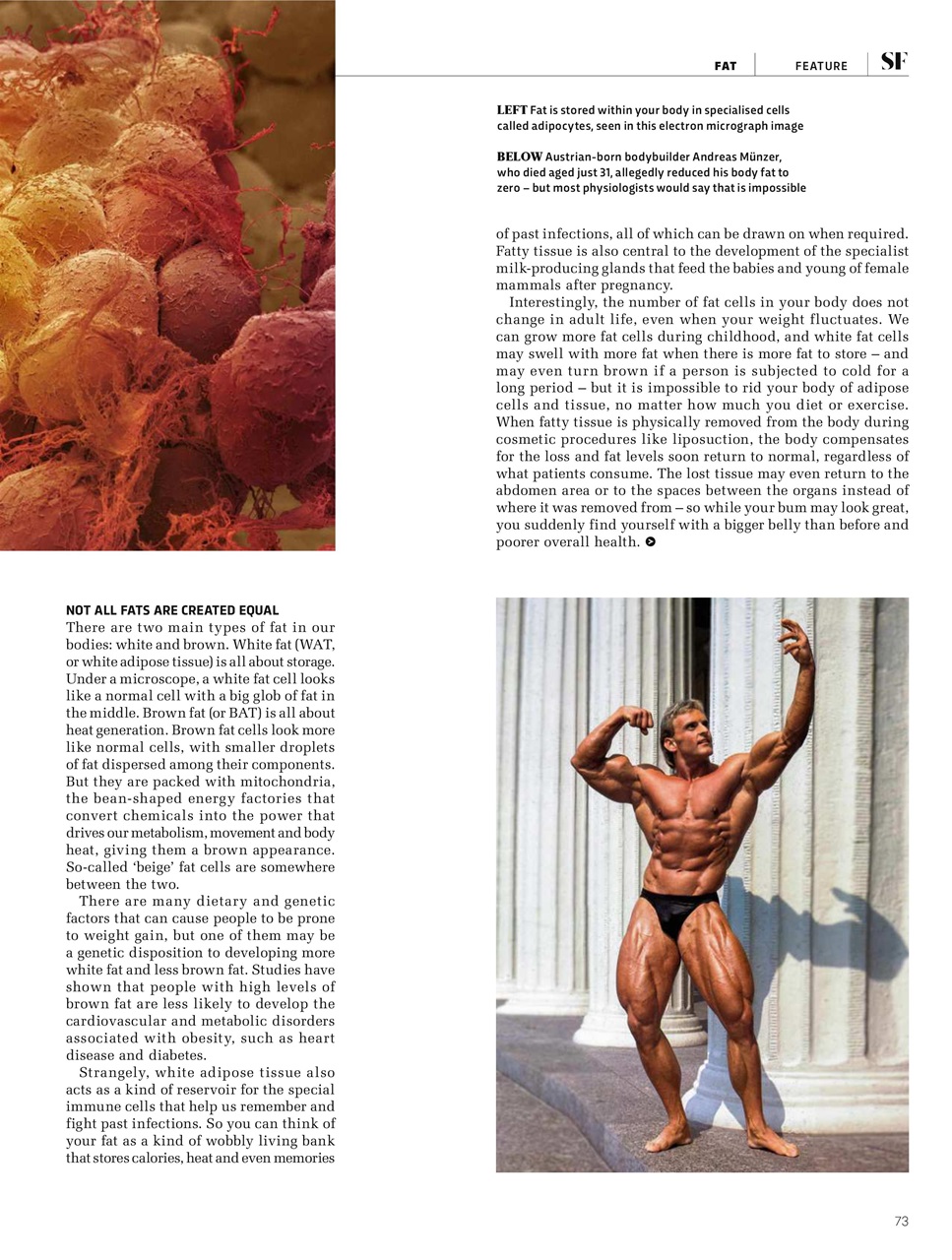 BBC Science Focus Magazine Preview Pages