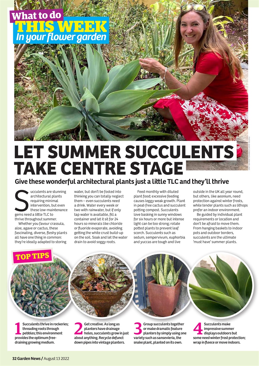 Garden News Preview Pages