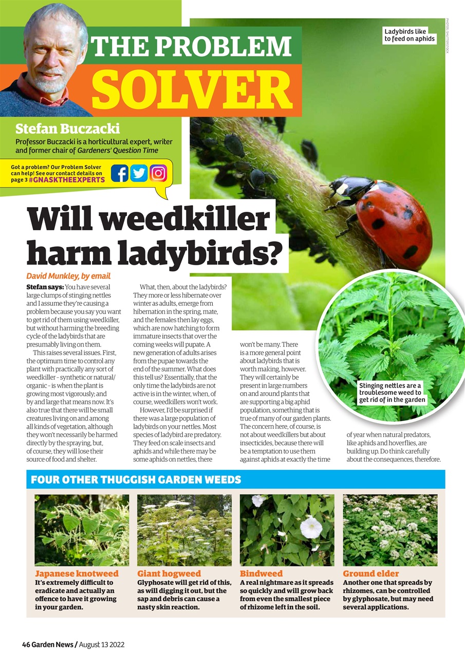 Garden News Preview Pages