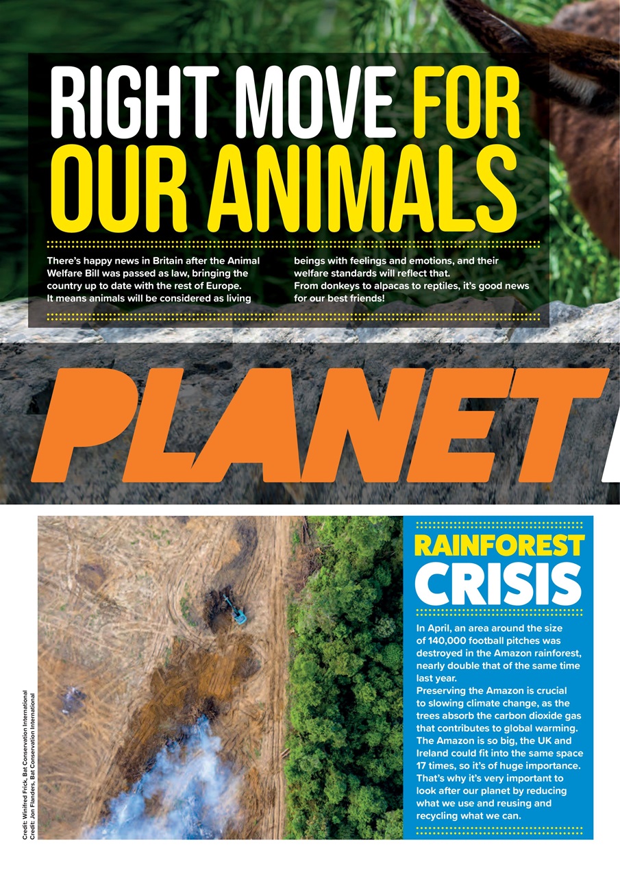 Animal Planet Kids Preview Pages