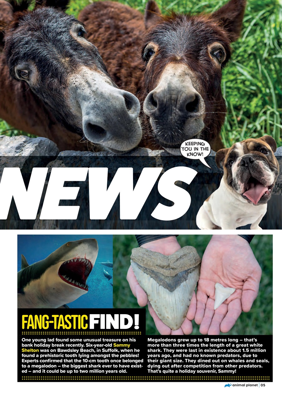 Animal Planet Kids Preview Pages