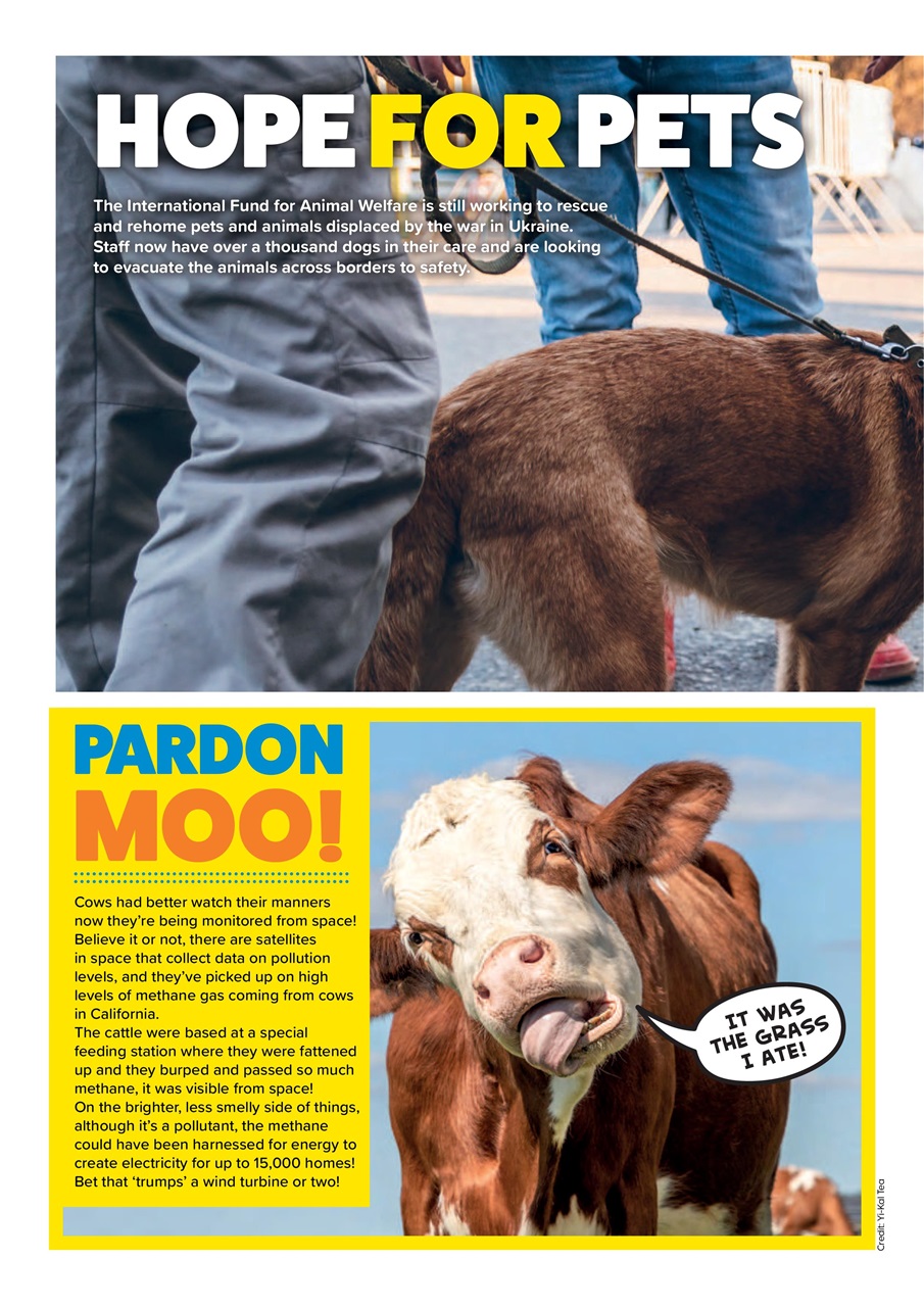 Animal Planet Kids Preview Pages