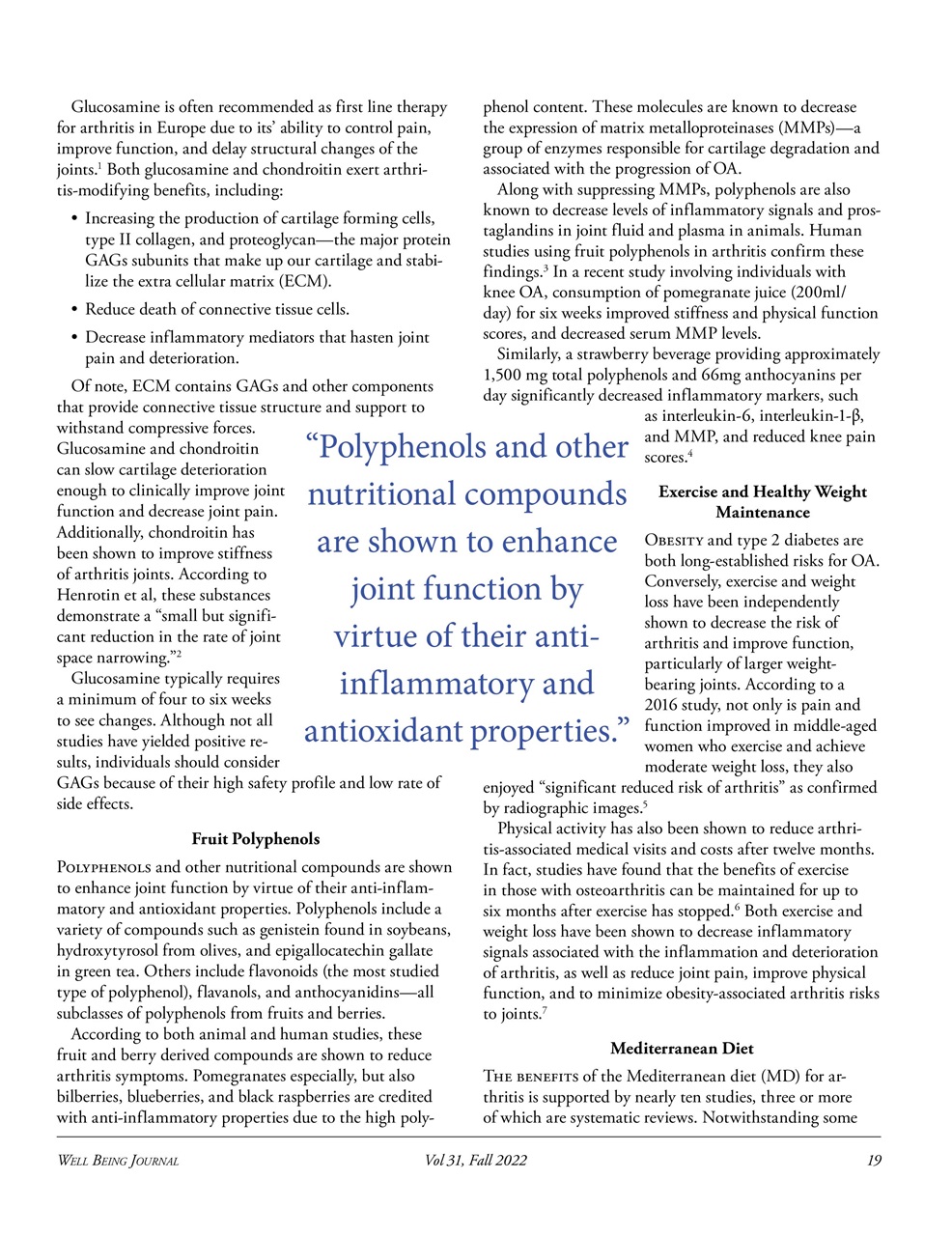 Well Being Journal Preview Pages