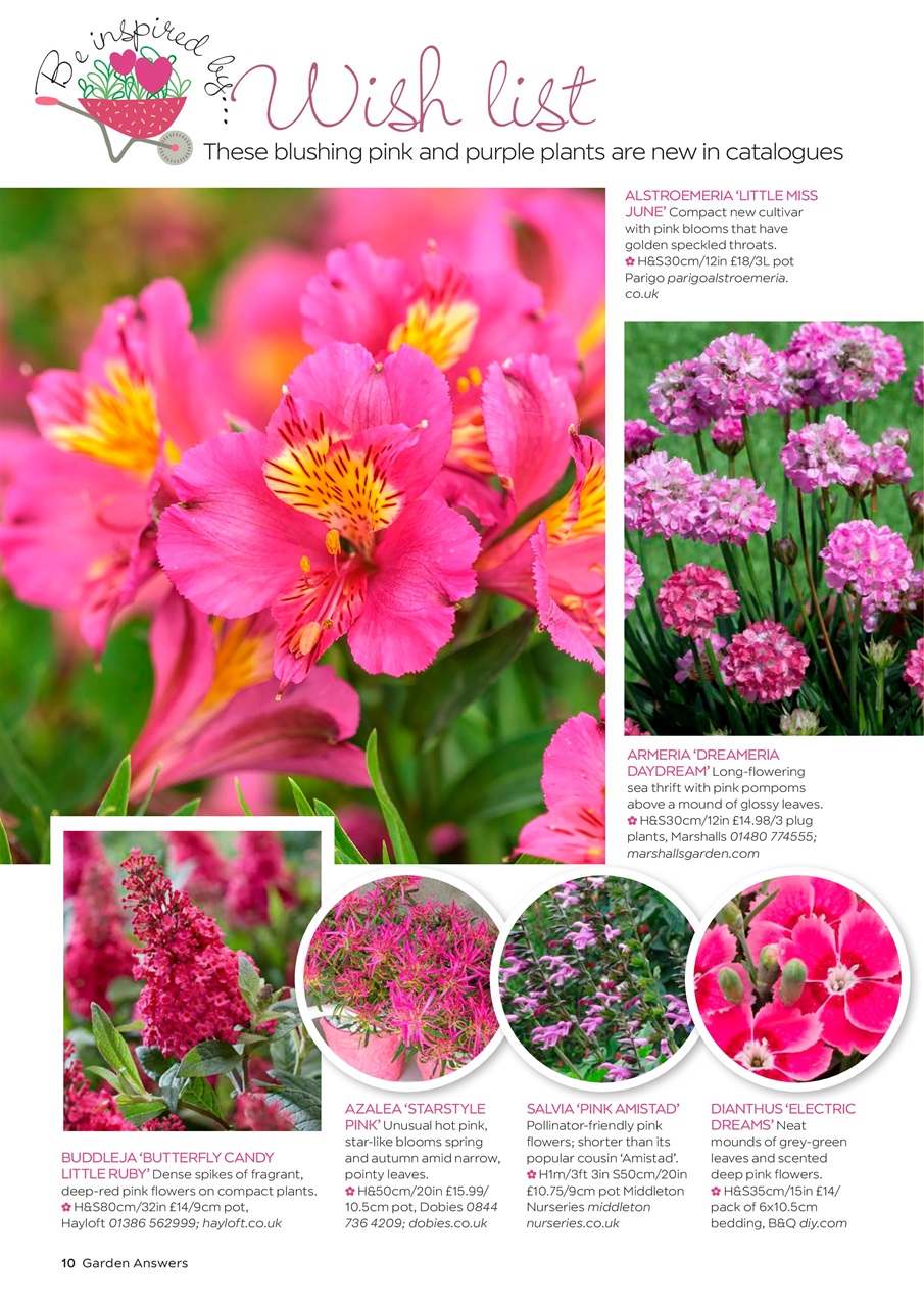 Garden Answers Preview Pages