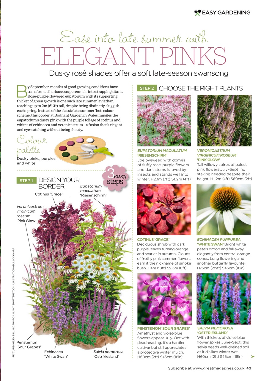 Garden Answers Preview Pages