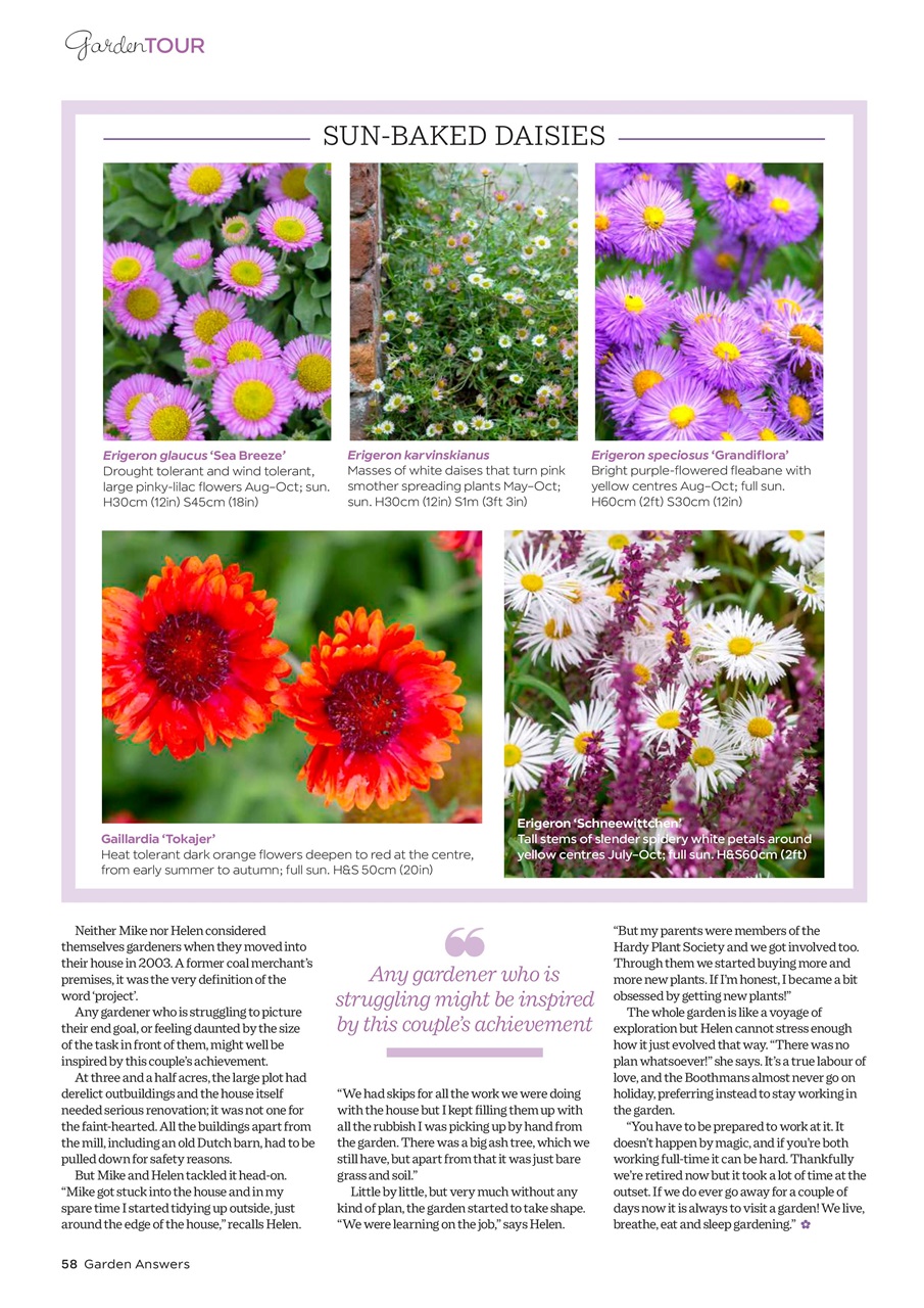 Garden Answers Preview Pages