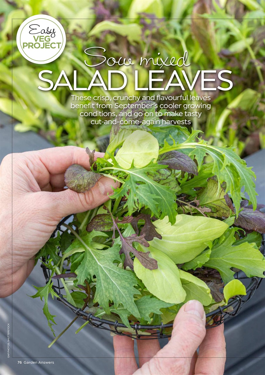 Garden Answers Preview Pages