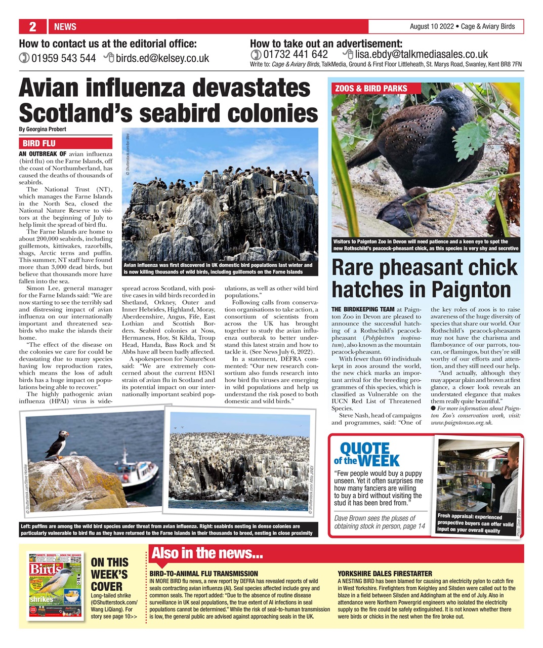 Cage & Aviary Birds Preview Pages